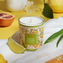 Duftkerze Zitrusfrüchte der Sonne