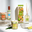 Bouquet Parfumé Agrumes du Soleil
