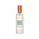 Parfum d'Intérieur Aloe Vera