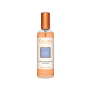 Parfum d'Intérieur Lilas Bleu
