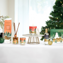 Bouquet Parfumé Noël Cannelle Orange