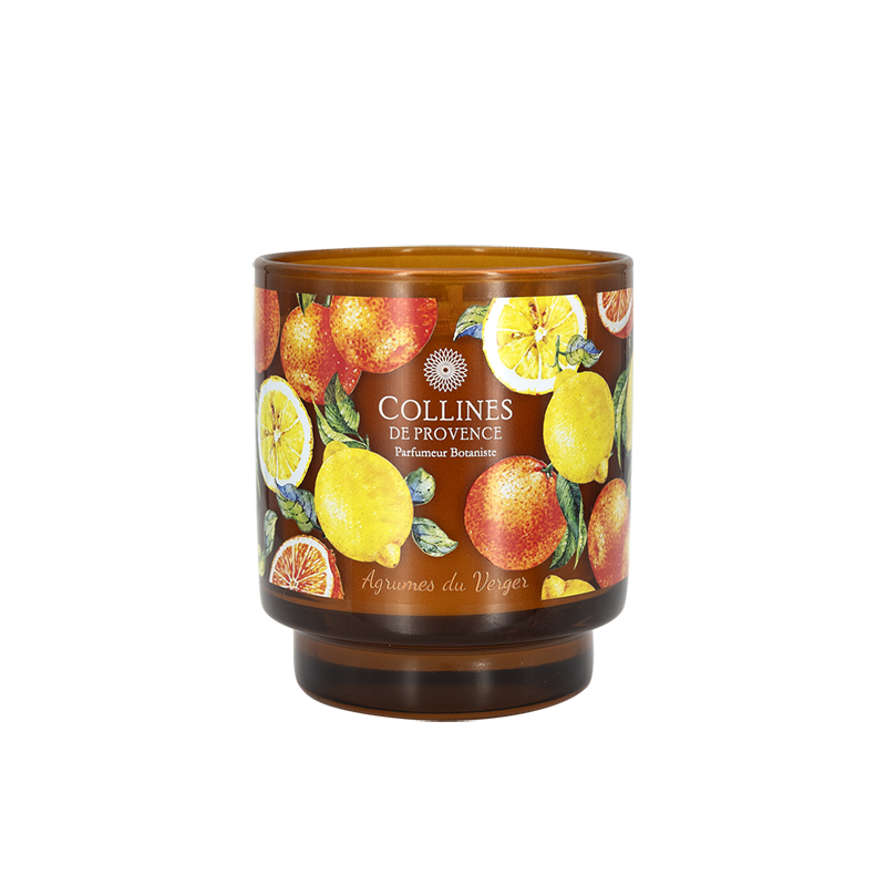 Parfümierte Kerze Obstgarten-Zitrus