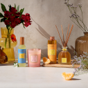 Recharge Bouquet Parfumé Mandarine & Yuzu