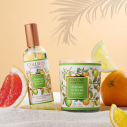 Bougie Parfumée Agrumes du Soleil