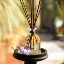 Bag of 20 brown rattan stems 30 cm