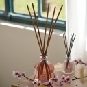 Bouquet Parfumé Rose & Hibiscus Grand Format