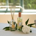 Bouquet Parfumé Yuzu des îles