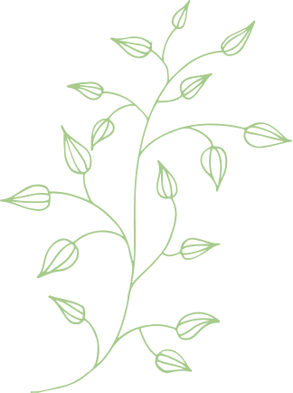 Laub